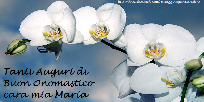 Tanti Auguri di Buon Onomastico cara mia Maria - Cartoline onomastico