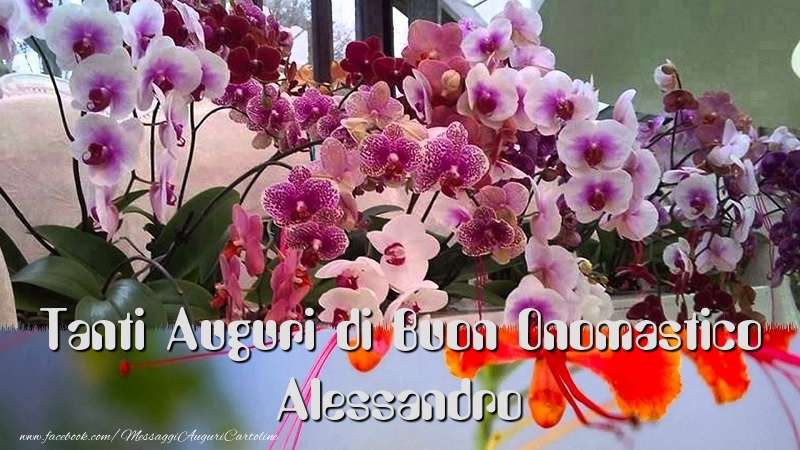 Tanti Auguri di Buon Onomastico Alessandro - Cartoline onomastico con fiori
