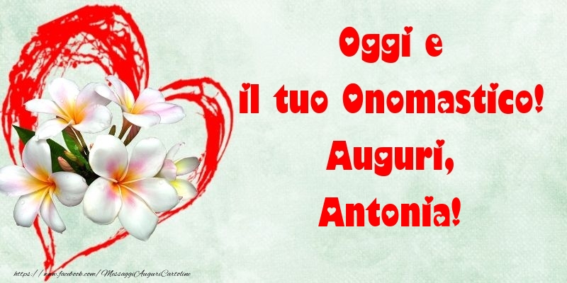 Oggi e il tuo Onomastico! Auguri, Antonia - Cartoline onomastico con fiori