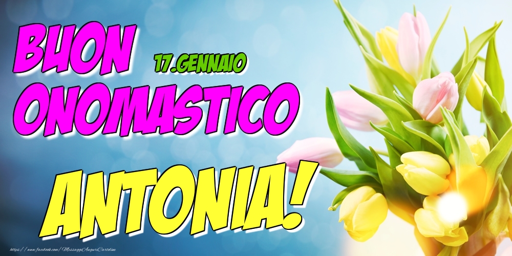 17.Gennaio - Buon Onomastico Antonia! - Cartoline onomastico