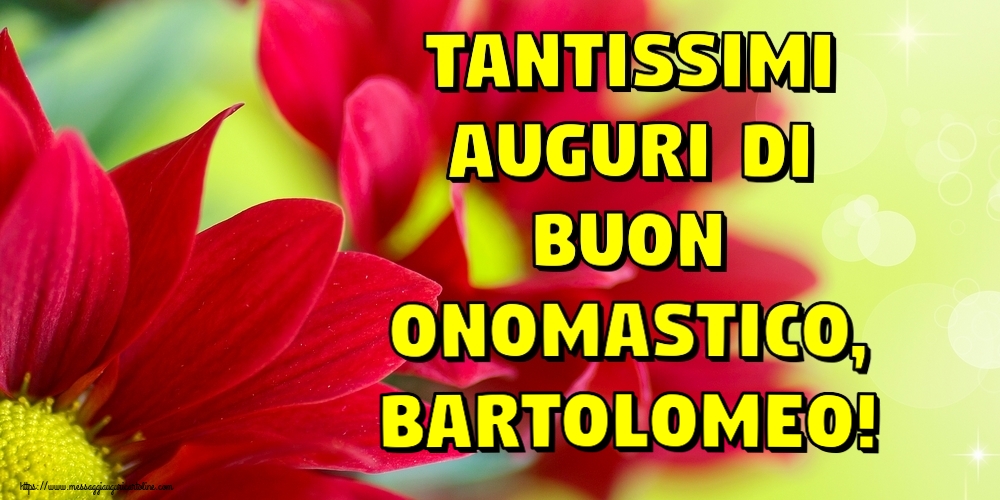 Tantissimi auguri di Buon Onomastico, Bartolomeo! - Cartoline onomastico