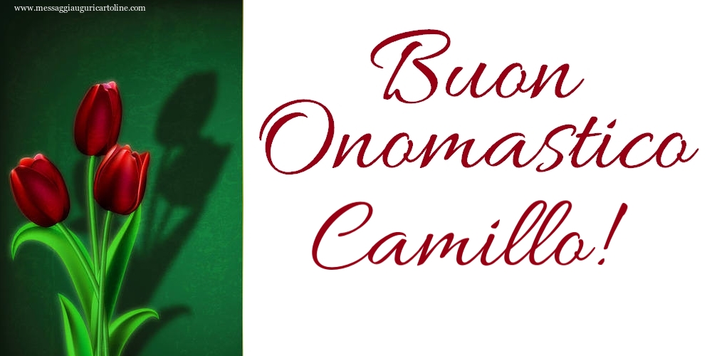 Buon Onomastico Camillo! - Cartoline onomastico