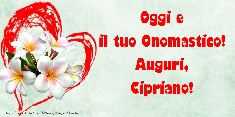 Oggi e il tuo Onomastico! Auguri, Cipriano - Cartoline onomastico con fiori