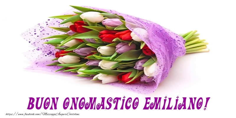 Buon Onomastico Emiliano! - Cartoline onomastico con mazzo di fiori