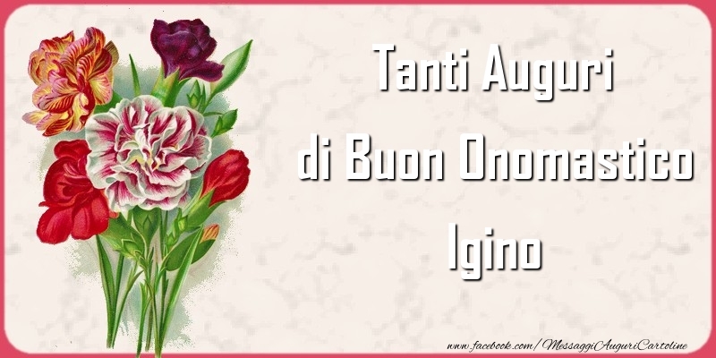 Tanti Auguri di Buon Onomastico Igino - Cartoline onomastico con mazzo di fiori