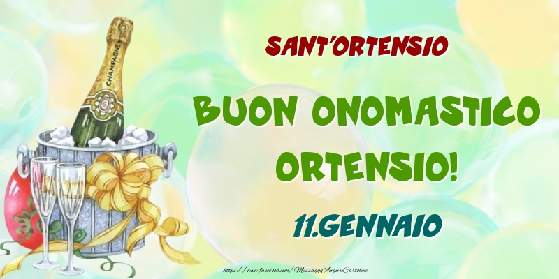 Sant'Ortensio Buon Onomastico, Ortensio! 11.Gennaio - Cartoline onomastico