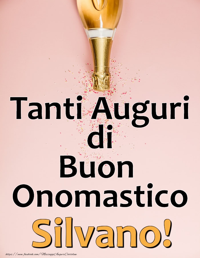 Tanti Auguri di Buon Onomastico Silvano! - Cartoline onomastico con champagne